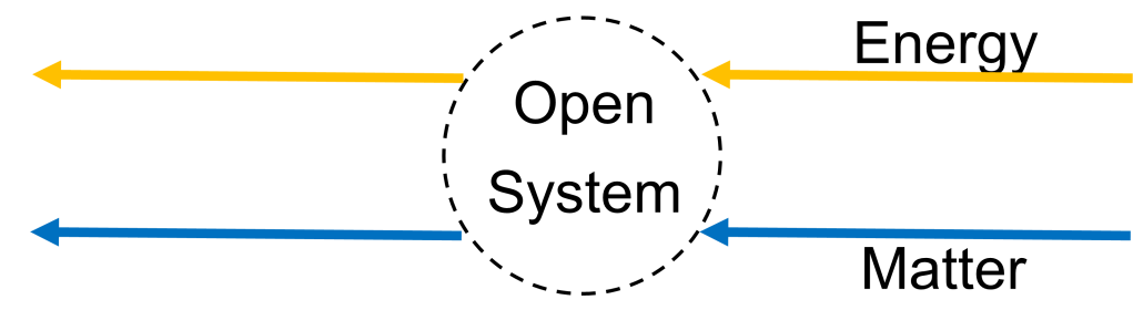 A diagram showing flows of energy and matter through a system that is open termodynamically.